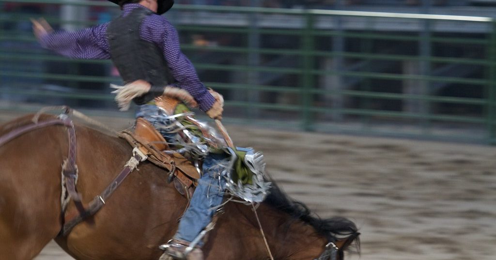 Jackson Hole Summer Activities - Town Square Inns